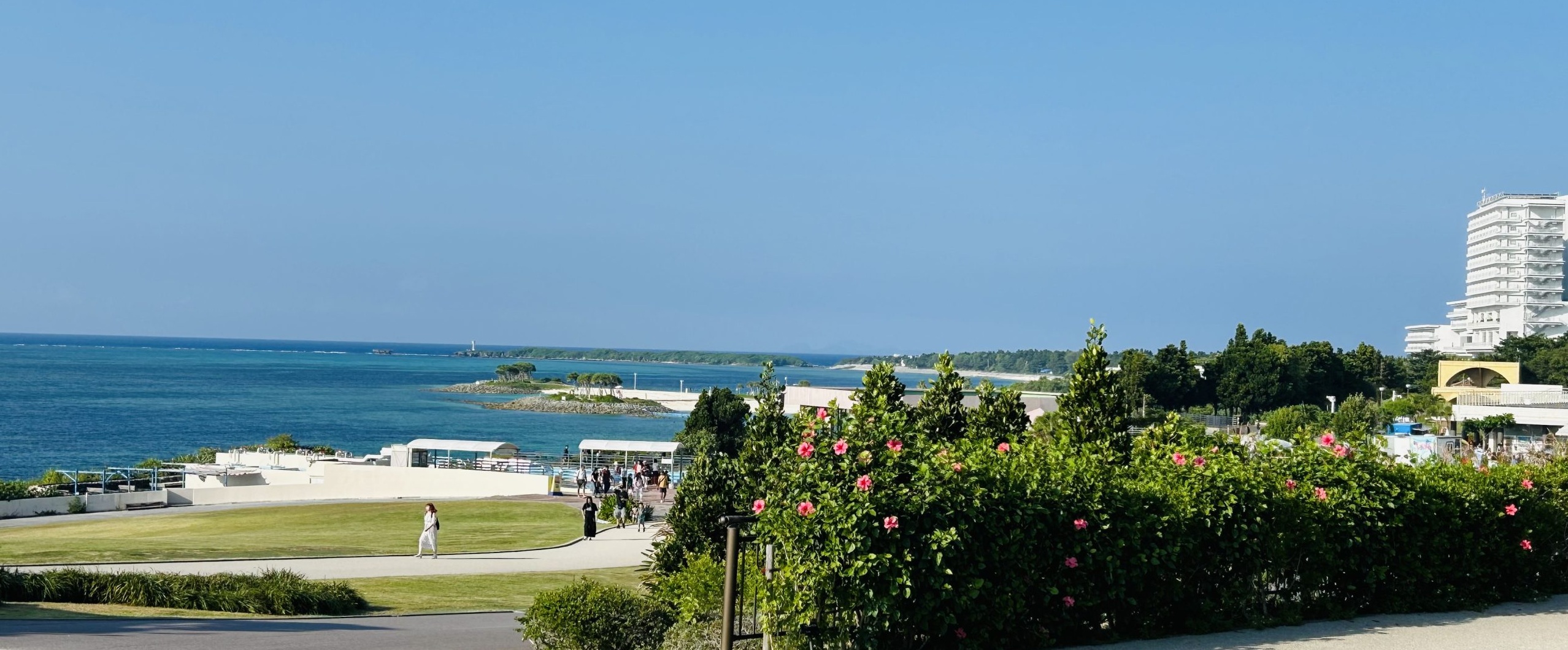 0から始める陸マイラー生活｜マイルの貯め方